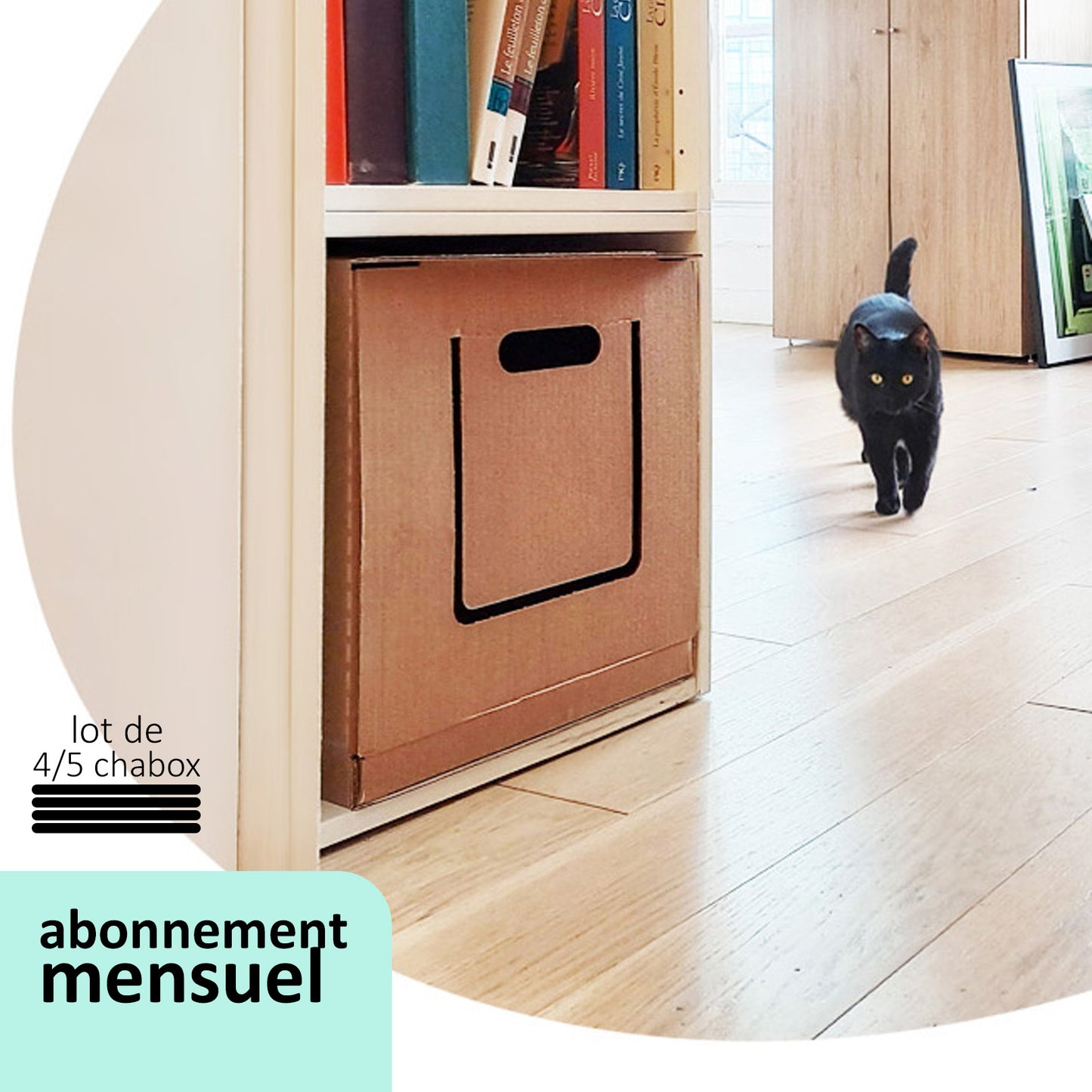 abonnement - CHABOX - mensuel